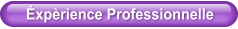 Éxpèrience Professionnelle