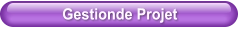 Gestionde Projet