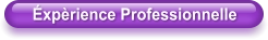 Éxpèrience Professionnelle